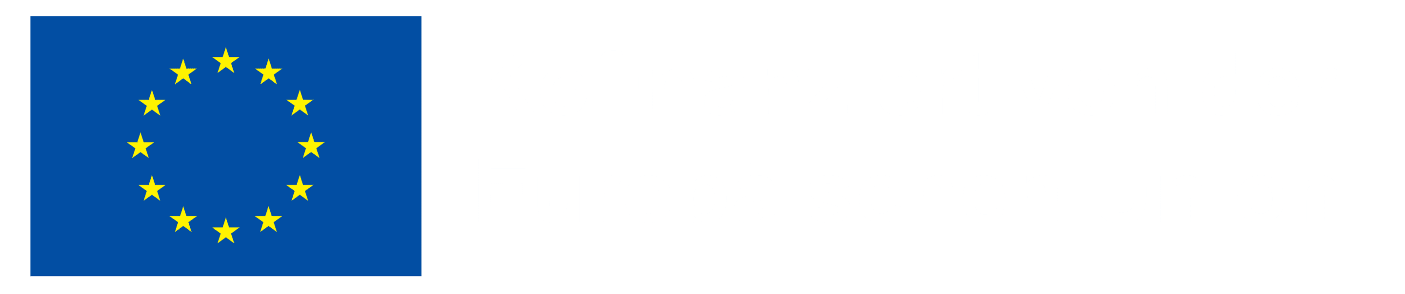 Ein blaues Rechteck mit einem Kreis aus zwölf gelben Sternen, die die Europäische Union symbolisieren, neben dem deutschen Text Kofinanziert von der Europäischen Union auf schwarzem Hintergrund.